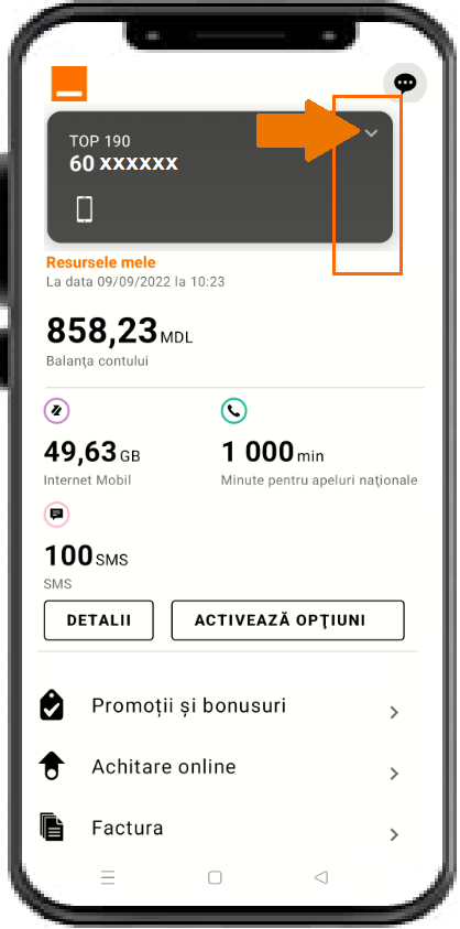 raft vegetarian marathon Orange Moldova | Cum aflu codul PIN, PUK pentru un număr mobil PrePay?